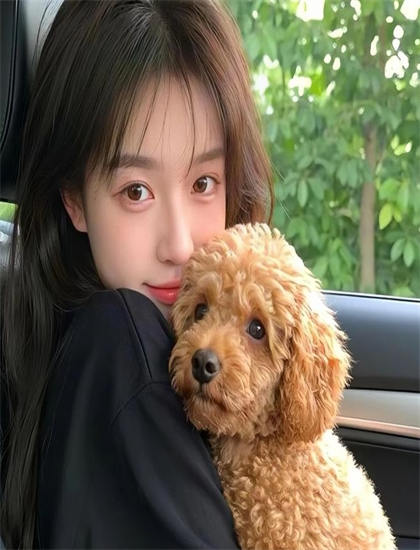 如何欣赏《超完美婚礼顾问》？观影指南教你欣赏精致的视觉细节 增强情感共鸣